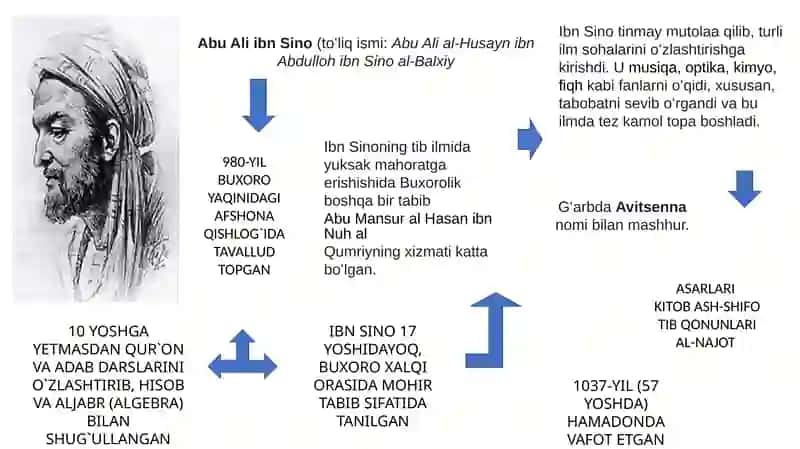 Abu Ali ibn Sino 2