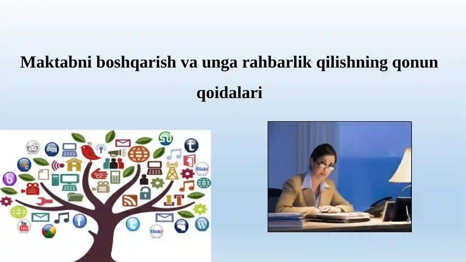 Boshlangʻichtaʼlim fakulteti 206-guruh talabasi 2