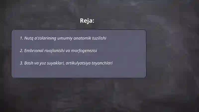 Nutq a’zolarining anatomiyasi vafiziologiyasi 2