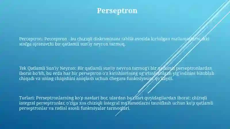 Bir Qatlamli SunʼIy Neyron Turlari 2