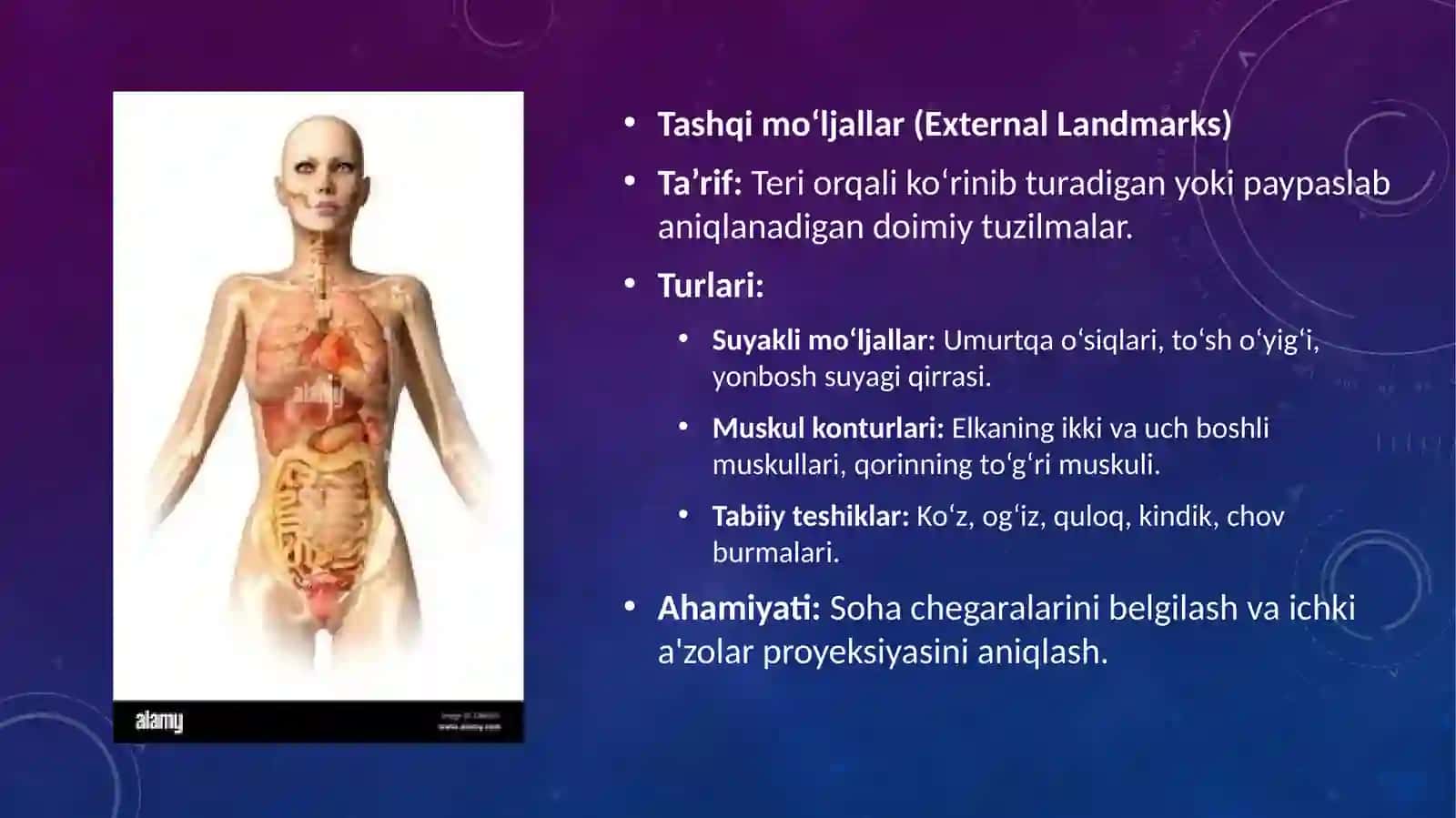 Klinik anatomiya va tana tuzilishining asosiy qonuniyatlari 2