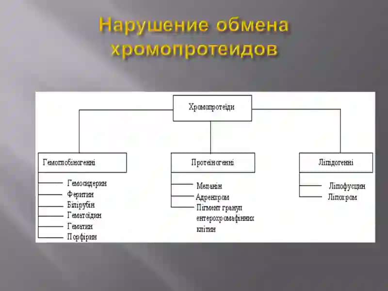 Основные клинико-морфологические проявления нарушения обмена гемоглобиногенных пигментов 2