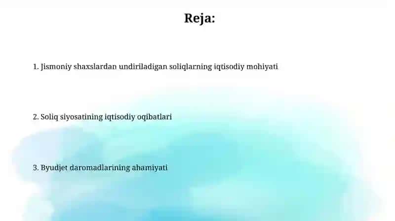 Soliq nazorati va audit 2