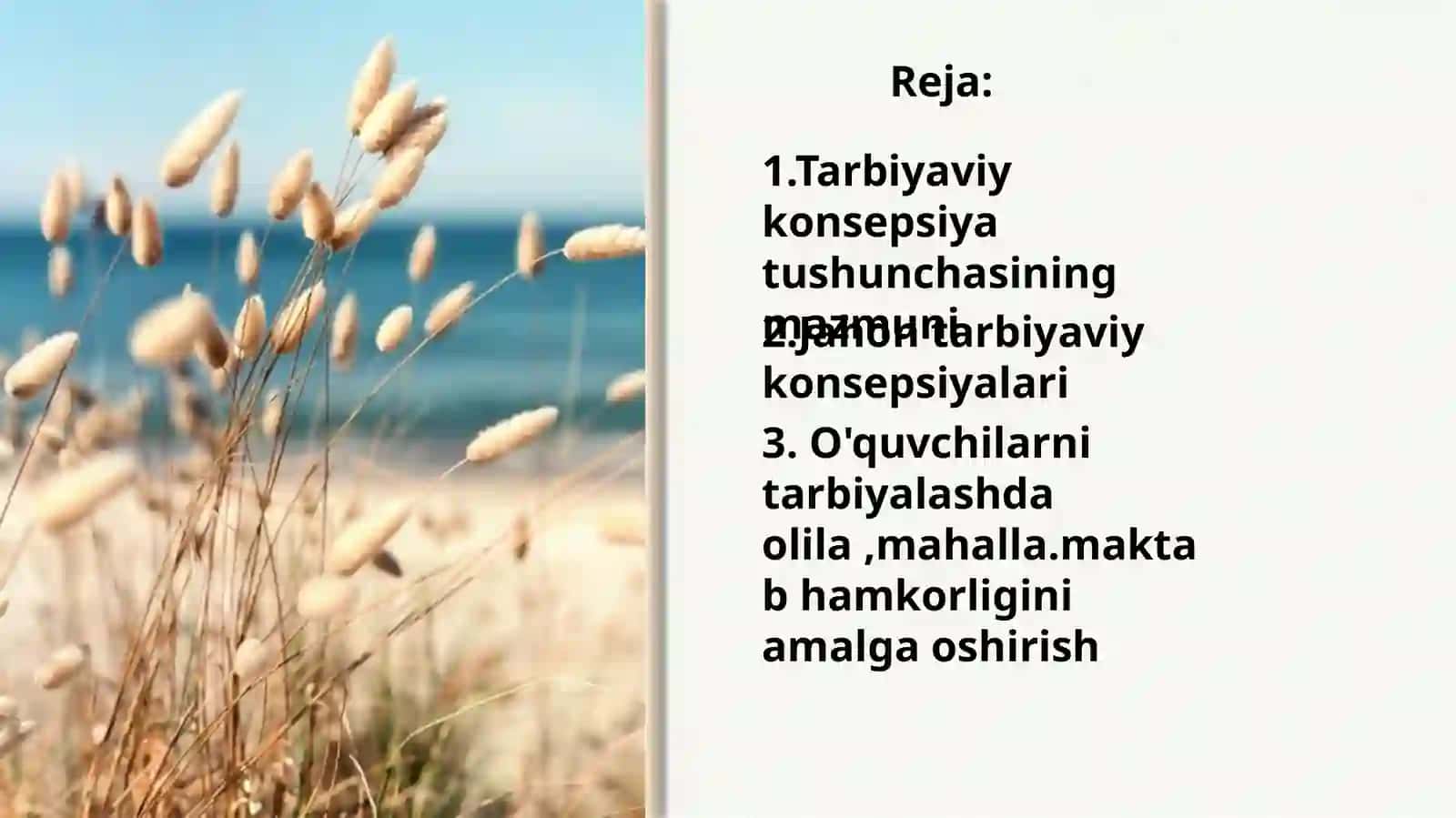 Jahon tarbiya konsepsiya namunalarining qiyosiy pedagogik tahlili 2