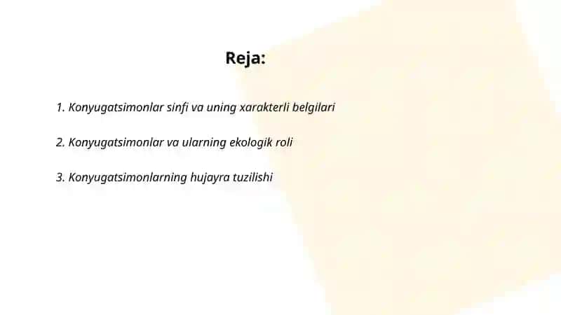 Konyugatsimonlar yoki matashuvchilar sinfining xarakterli belgilari, klassifikatsiyasi. Zignemalar tartibi vakillari 2
