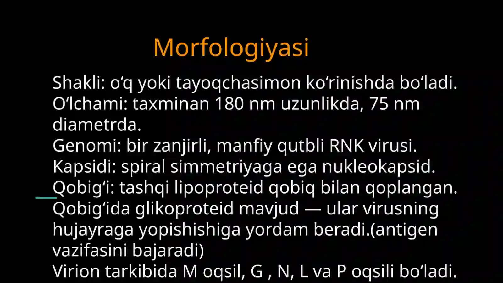 Gerpes (alfa betta gamma), Rabdoviruslar (quturish) 2