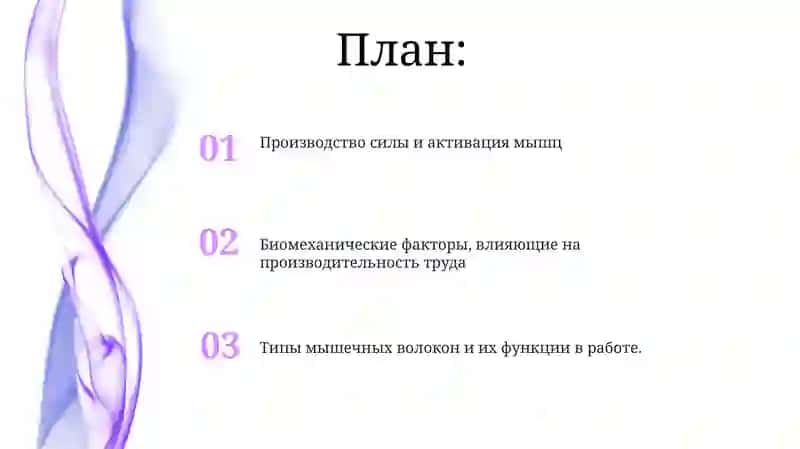 Работа и биомеханика мышц 2