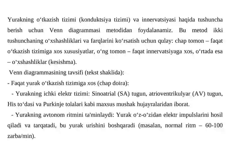 Yurakning o’tkazuvchi yollari. Yurak innervasiyasi. 2