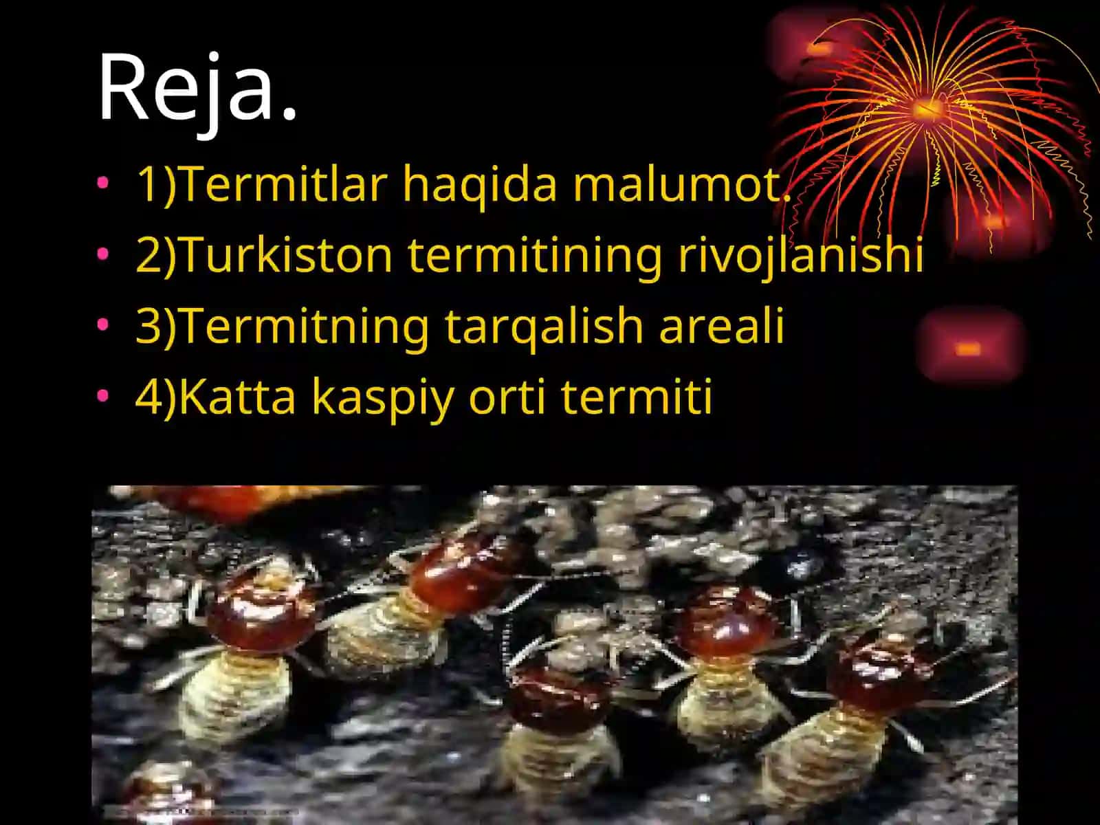 Termitlar va ularning biologik va ekologik xususiyatlari 2