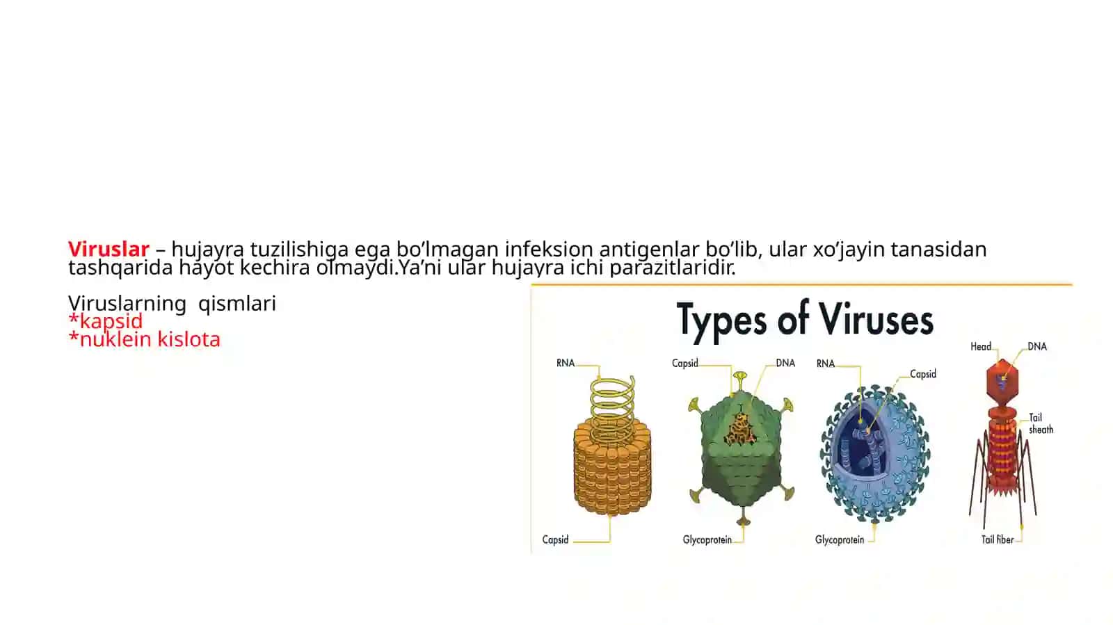 ONLINE MEDICAL GINEKOLOGY;TORCH infeksiyasi nima va u qanday aniqlanadi 2