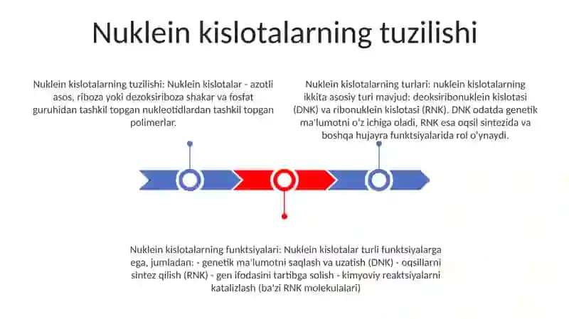 Nuklein Kislotalar Tuzilishi Va Funksiyalari 2
