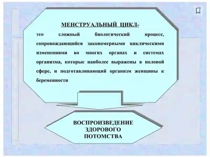 Механизм гормонального регулирования полового цикла 2