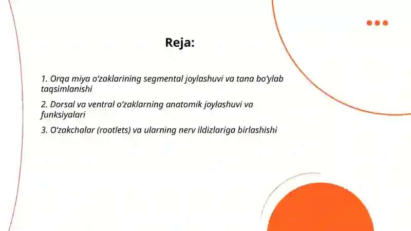 Orqa miya ózaklarining joylashuvi va ularning ahamiyati 2