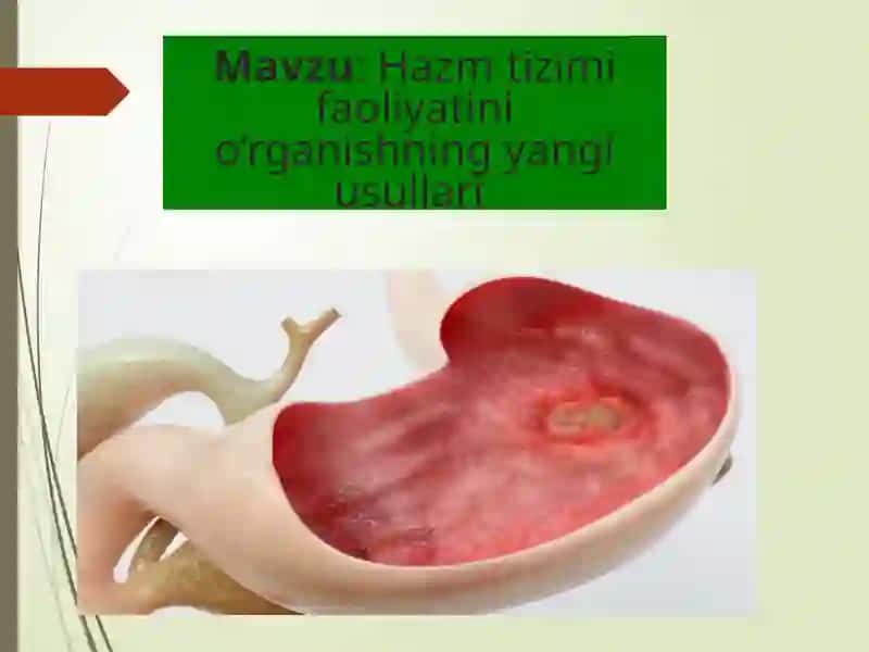 Hazm tizimi faoliyatini o‘rganishning yangi usullari 2