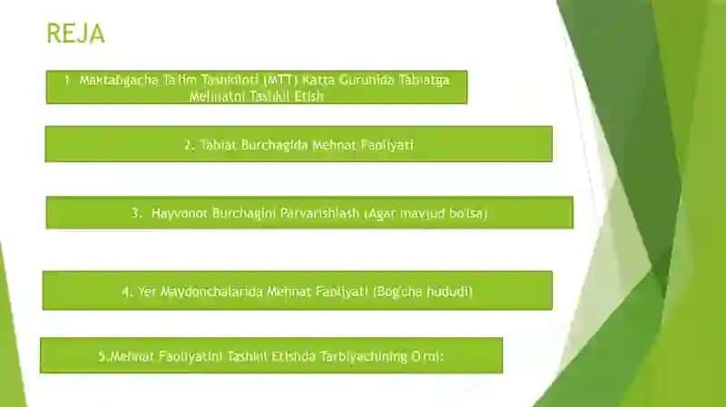 Katta guruh bolalarni tabiatda mehnatlari tashkil etish tabiat burchagi yer maydonchalari. 2
