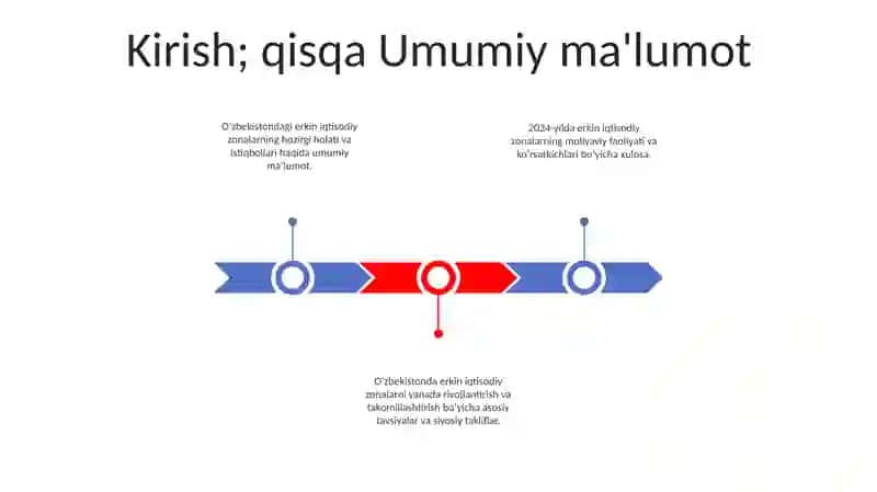 Erkin Iqtisodiy Zonalar Va Moliyaviy Faoliyati 2024 2