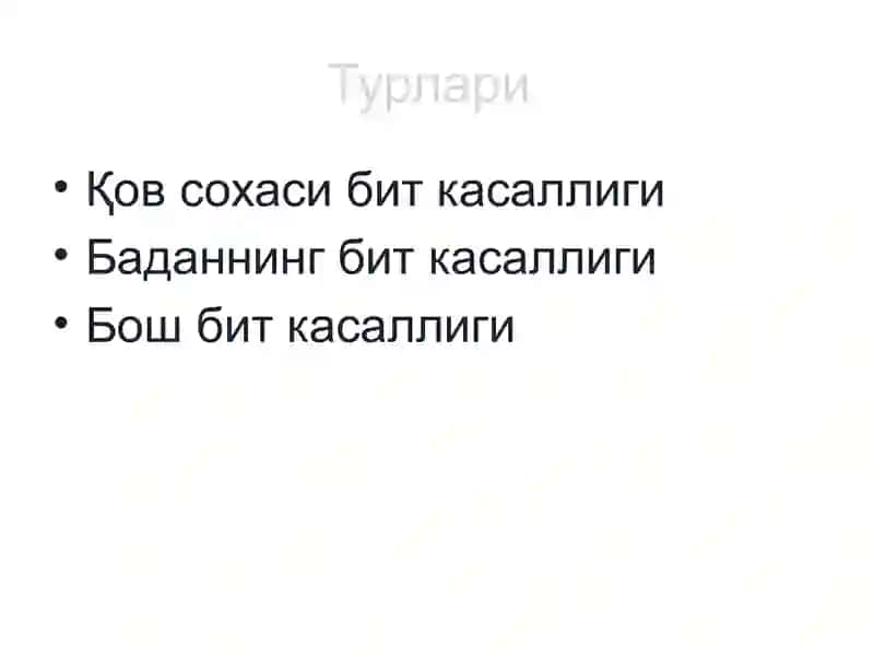 Педикулёз (битлаш) 2