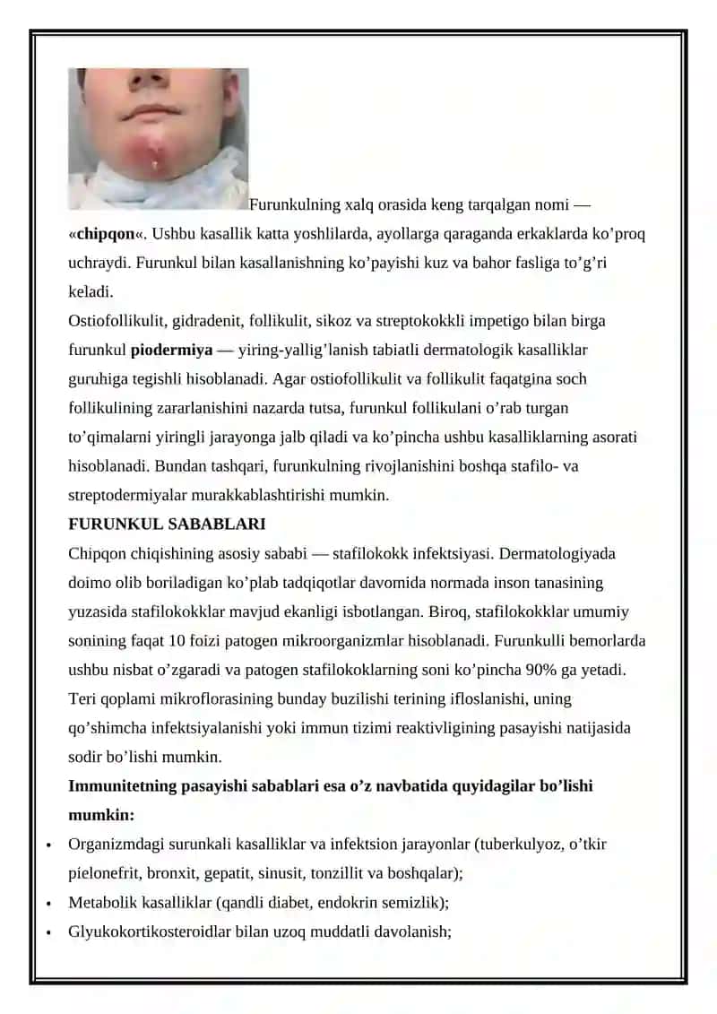 Furunkul 2