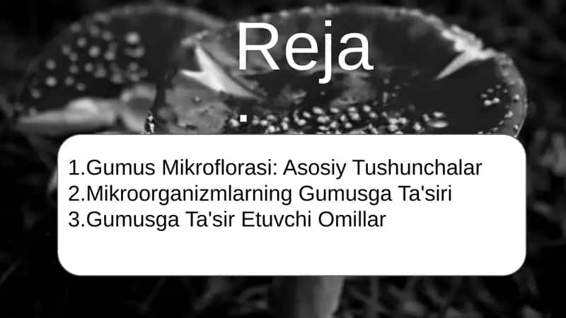 Gumus Mikroflorasi va Gumus: Tuproq Unumdorligining Asosiy Omili 2