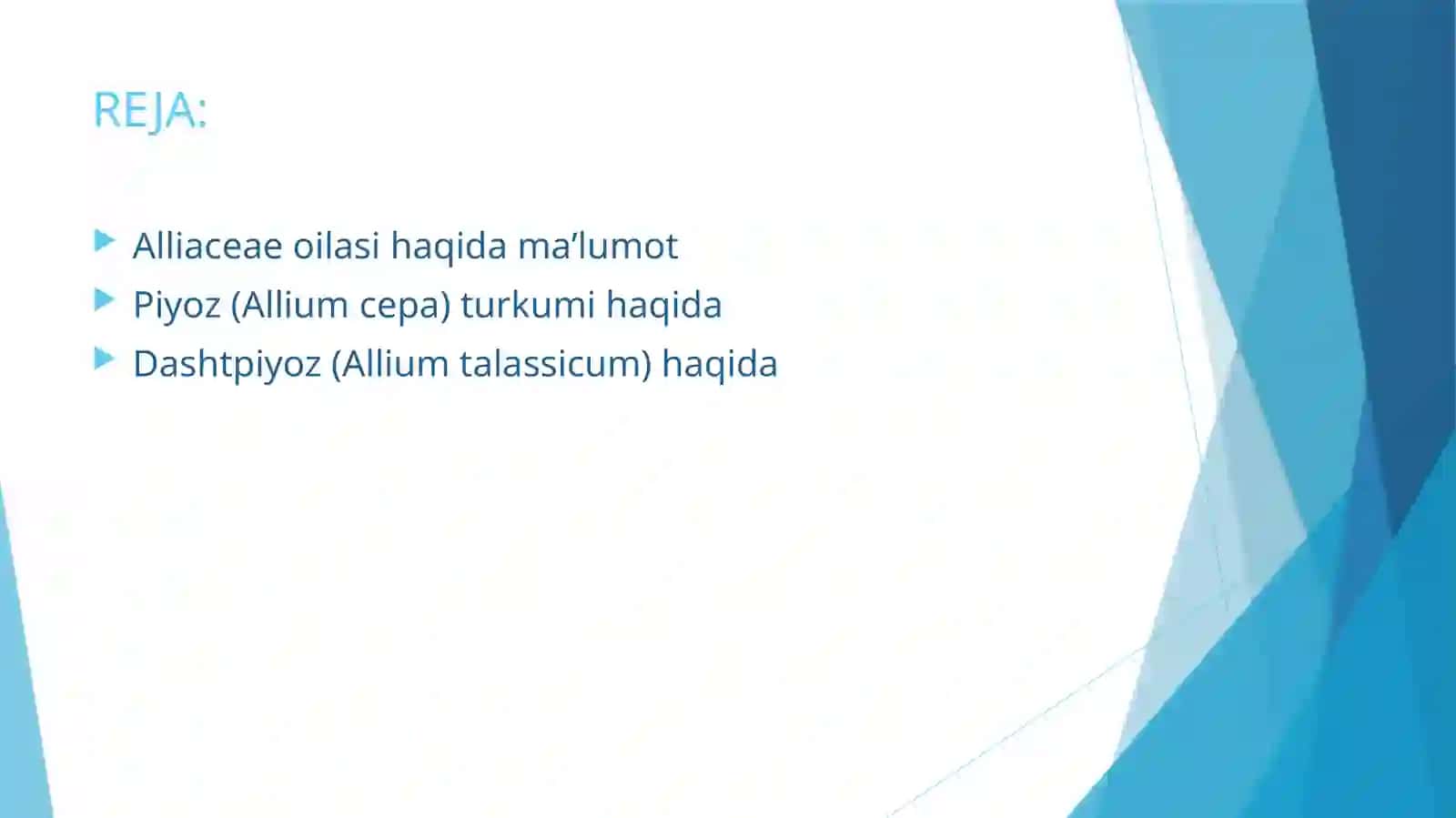 Piyozdoshlar (Alliaceae) oilasidagi turlar biologiyasi, ekologiyasi, areali va xalq xo‘jaligida ahamiyati 2