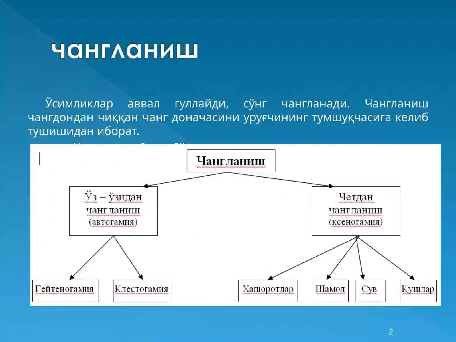 Чангланиш ва оталанишМева, тўпмева ва уруғтузилиши 2