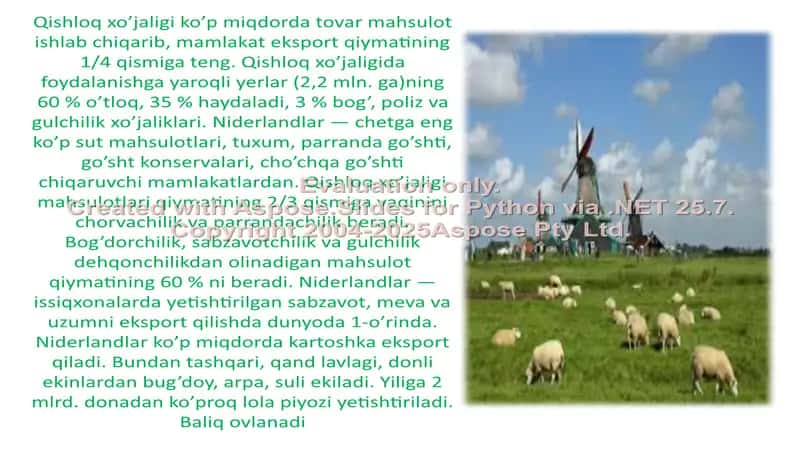 Niderlandiya qishloq xo’jaligi 2