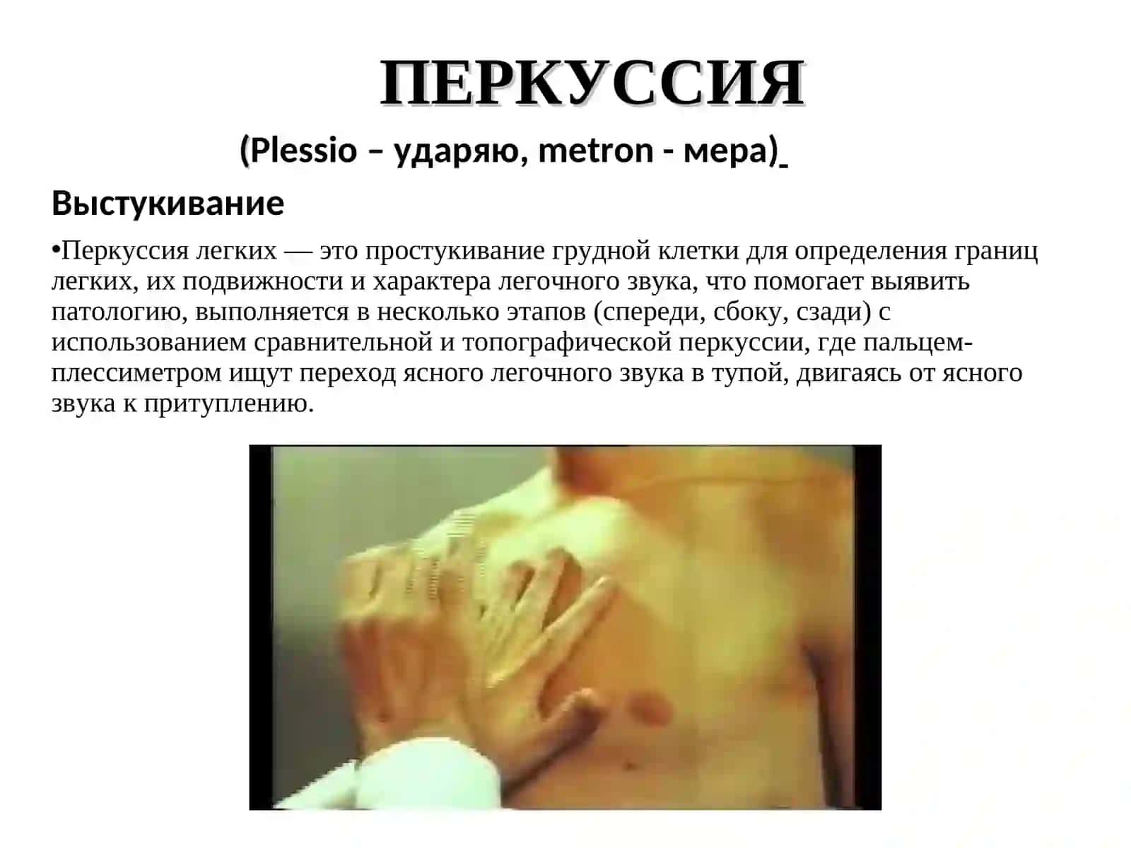 Выполнение практических навыков: перкуссия лёгких 2