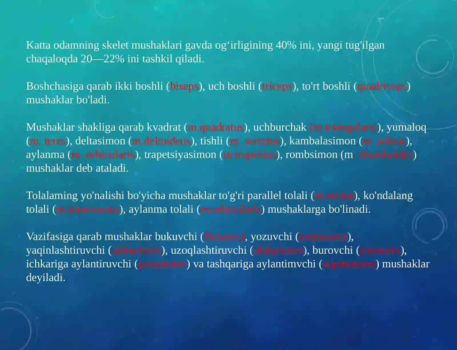 Maruza№6 2
