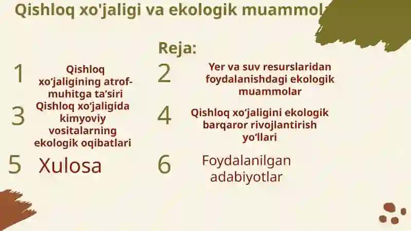 Qishloqxo'jaligi Va Ekologik Muammolar 2