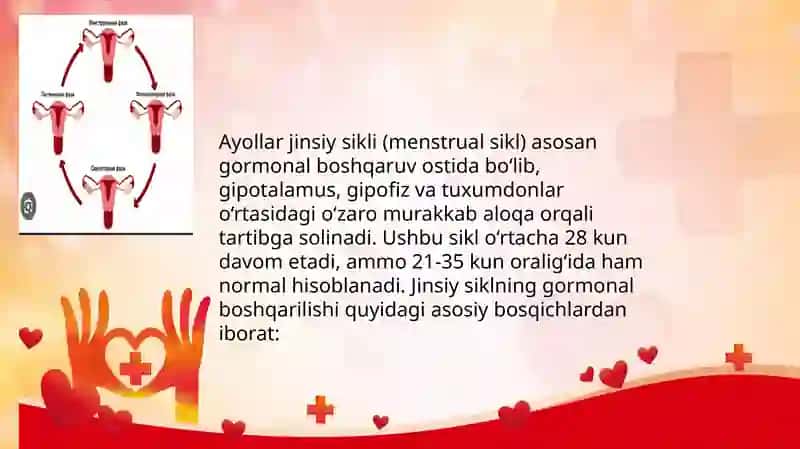 MENSTRUAL(Hayz) SIKL DAVRLARI 2