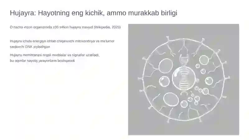 Hujayrada moddalar, energiya va ma'lumotlar oqimi hamda proliferatsiya muammolari: Tibbiyotda yangi qarashlar 2