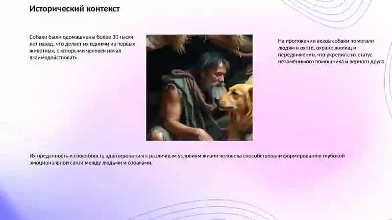 Почему собаку часто называют «лучшим другом человека» 2