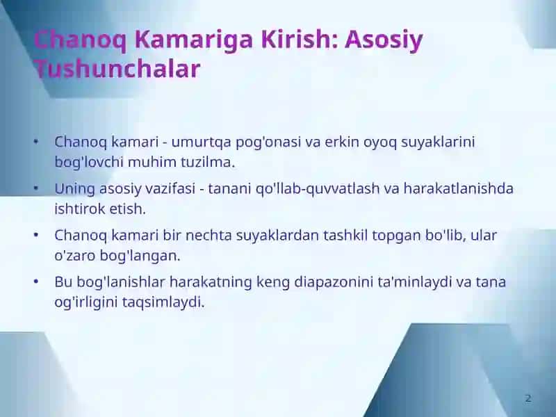 Chanoq Kamari: Tuzilishi, Harakatlari va Zamonaviy Tasvirlash Usullari 2