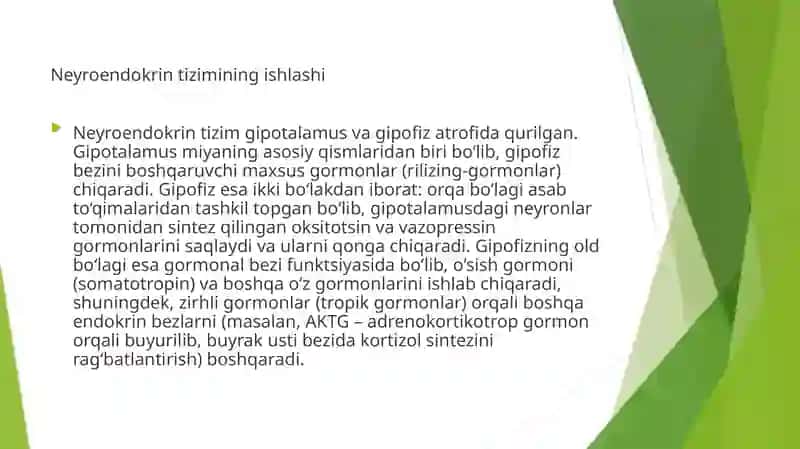 Nerv va endokrin tizim 2