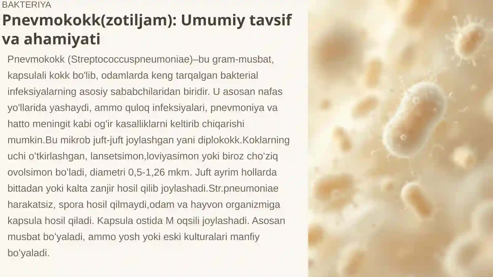 Pnevmokokk, Meningokokk va Haemophilus influenzae 2