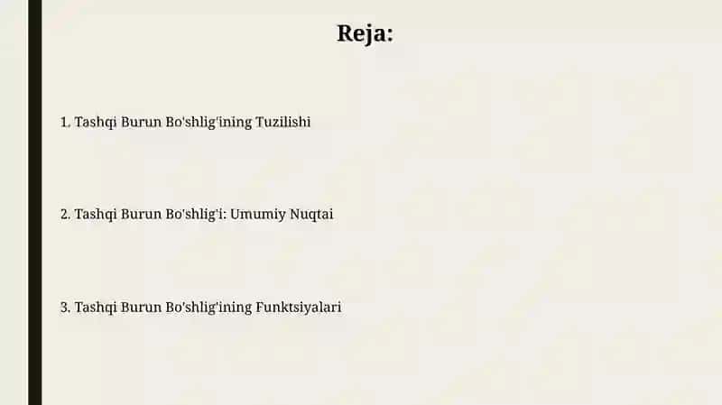 Burun Teshiklari (Nares) 2
