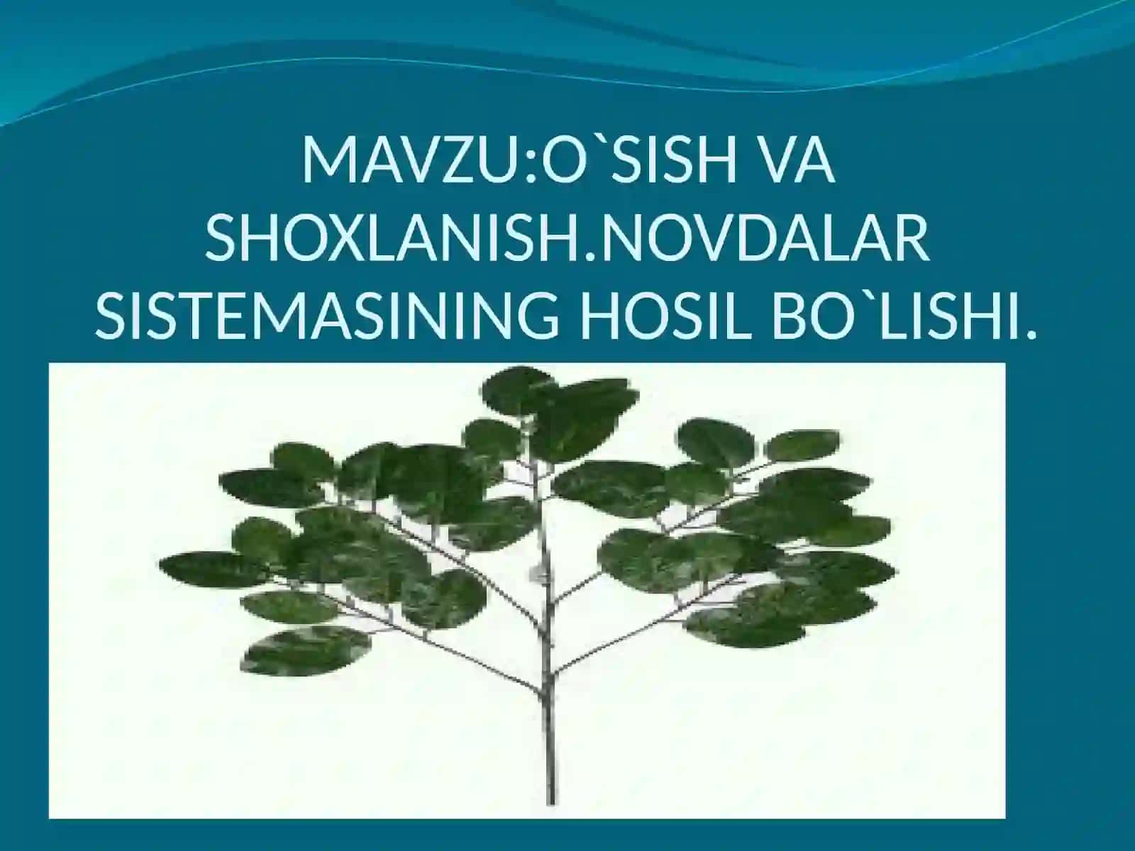 Sistemasning hoşil bo'lishi 2
