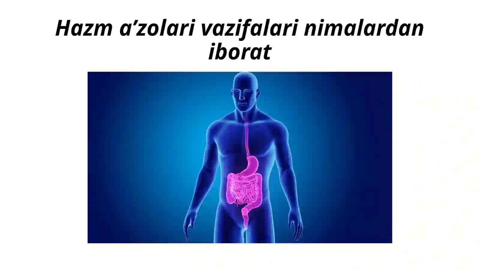 Og‘izbo‘shlig‘i,tishlar,ularningyoshgaqarabo‘zgarishi.Til,so‘lakbezlari,yumshoqtanglay,ularningyoshgaqarabo‘zgarishi.Xalqum,Pirogovxalqasi,Qizilungach,qorinbo‘shlig‘ia’zolarihaqidaumumiyma’lumot.Me’da.Ingichkavayo‘g‘onichak:tuzilishi,farqlari,yoshgaqarabo‘zgarishi 2