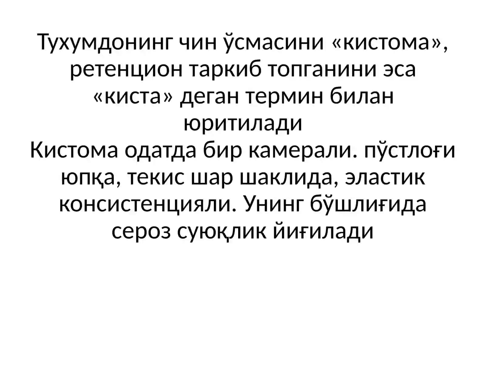 KISTOMA 2