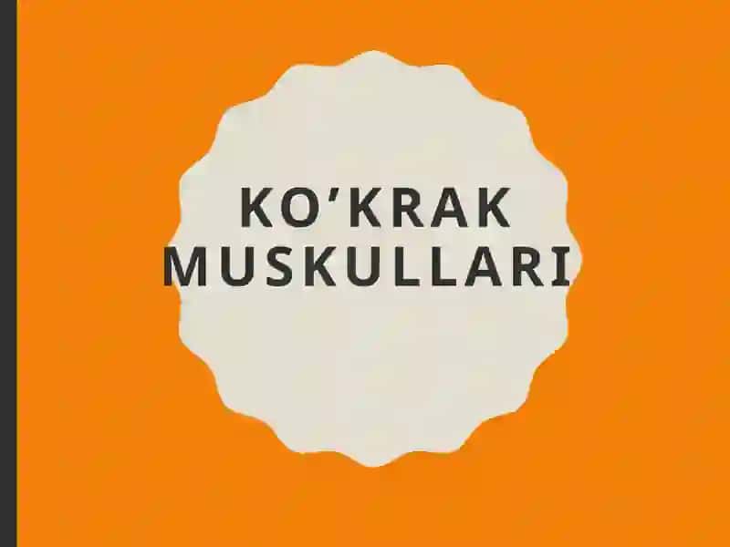 Ko‘krak muskullari 2