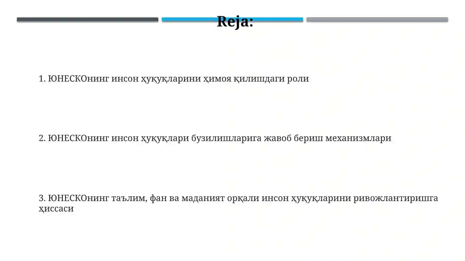 ЮНЕСКОнинг инсон ҳуқуқларини ҳимоя қилишдаги роли 2