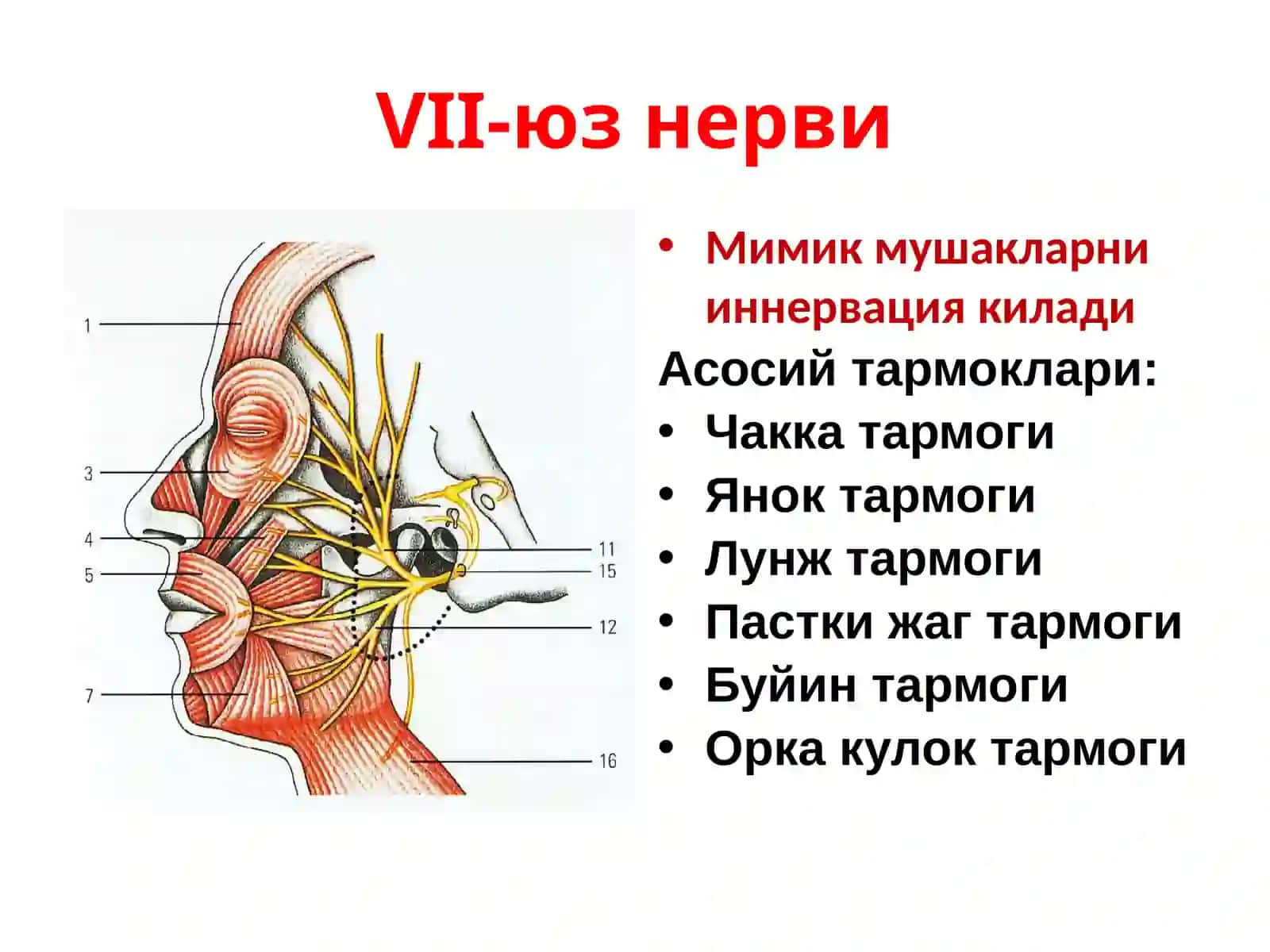 Юз нерви зарарланиши 2