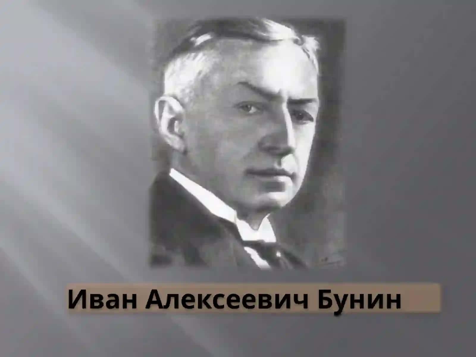 Тень птицы 2