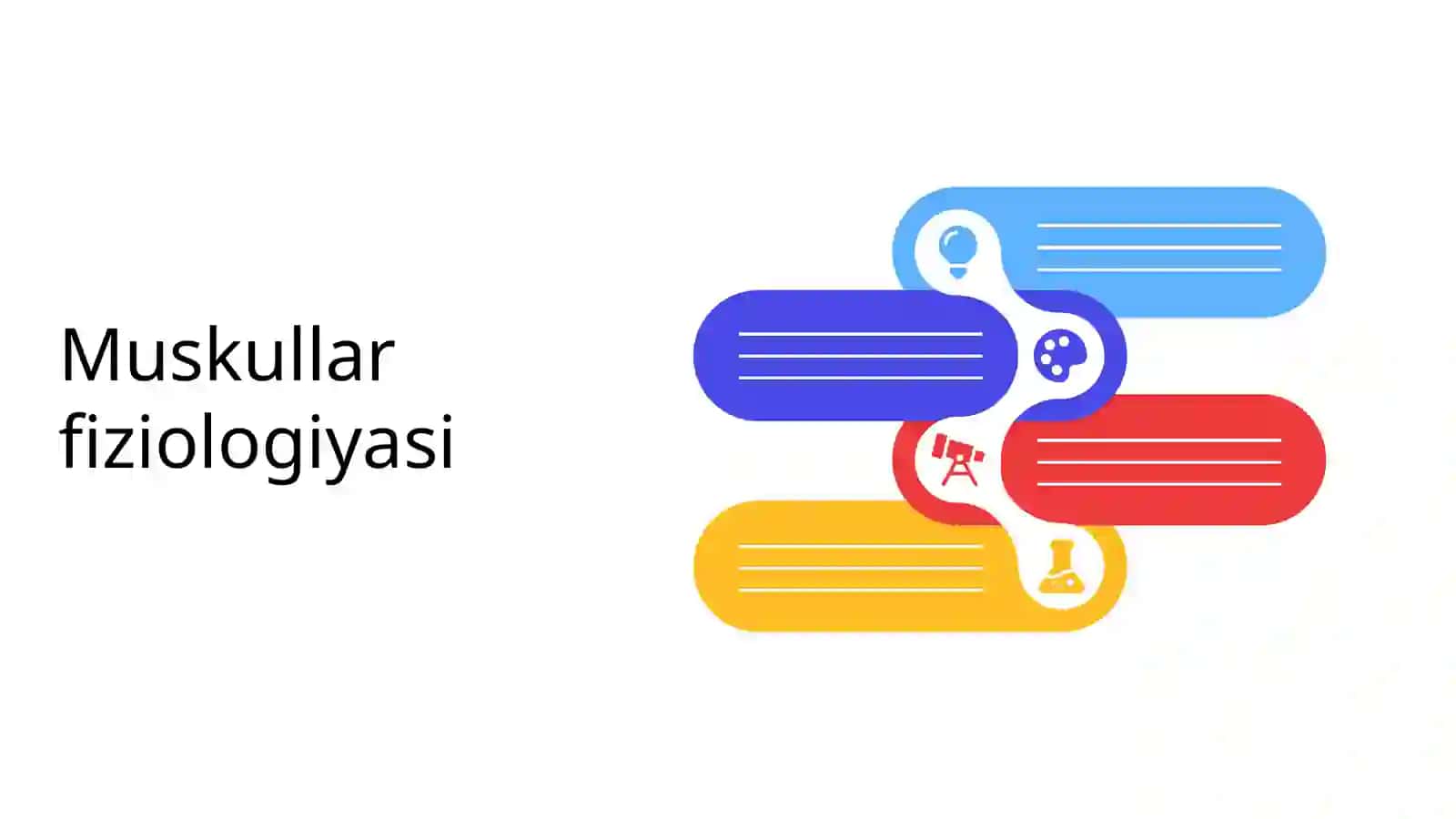 Muskullar fiziologiyasi 2
