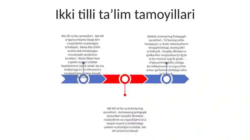 Ikki tilli ta'lim tamoyillari 2