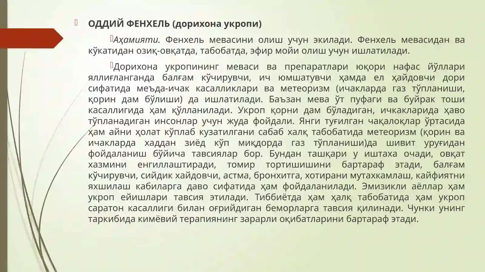 Оддий фенхель (дорихона укропи) 2