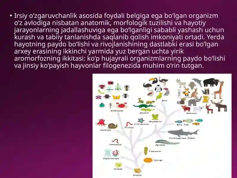 Hayvonotdunyosidagi evolutsiono‘zgarishlar 2