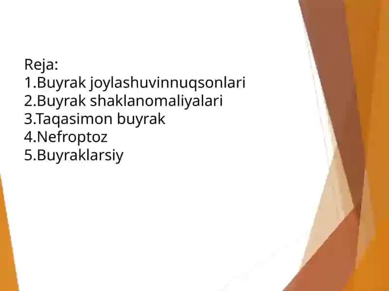 Buyraklarning tug'ma nuqsonlari 2