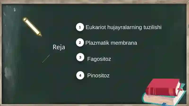 Eukariot hujayralar 2