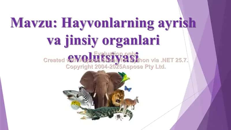"Hayvonlarning ayrish va jinsiy organlari evolutsiyasi" 2